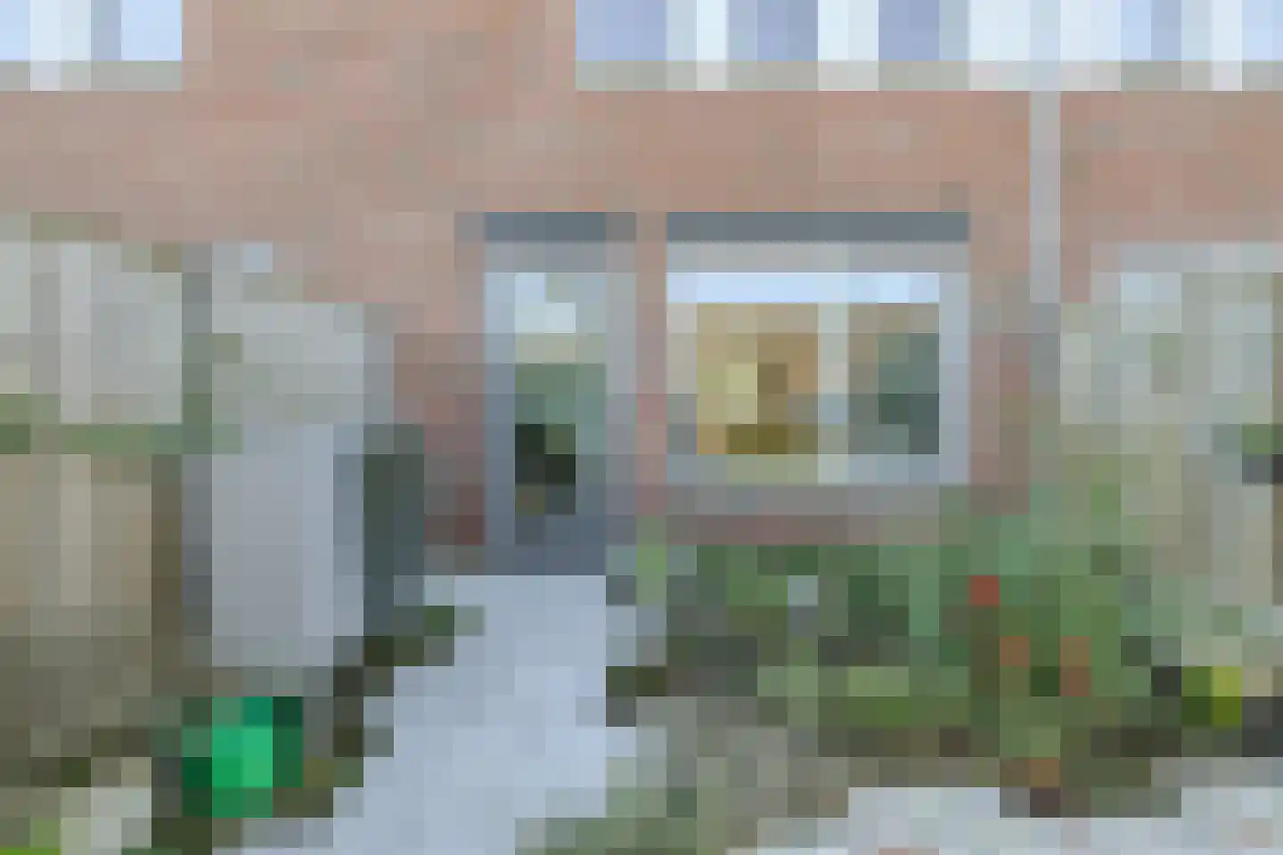 Paulus Potterstraat 38 Raamsdonksveer thumbnail 49