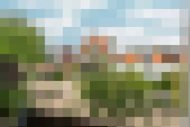 Paulus Potterstraat 4 Nijmegen thumbnail 15