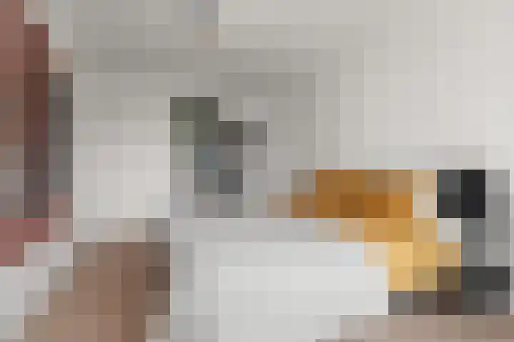 Paulus Potterstraat 4 Nijmegen thumbnail 25
