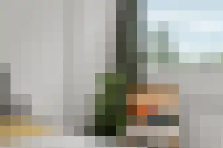 Paulus Potterstraat 4 Nijmegen thumbnail 26
