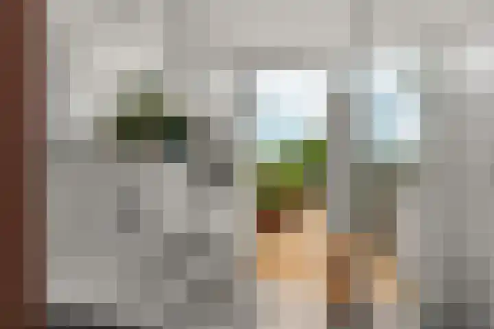 Paulus Potterstraat 4 Nijmegen thumbnail 33