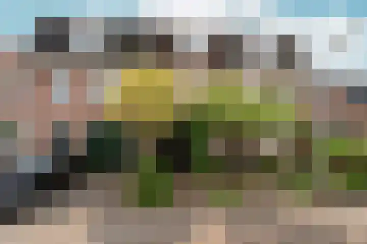 Paulus Potterstraat 4 Nijmegen thumbnail 6