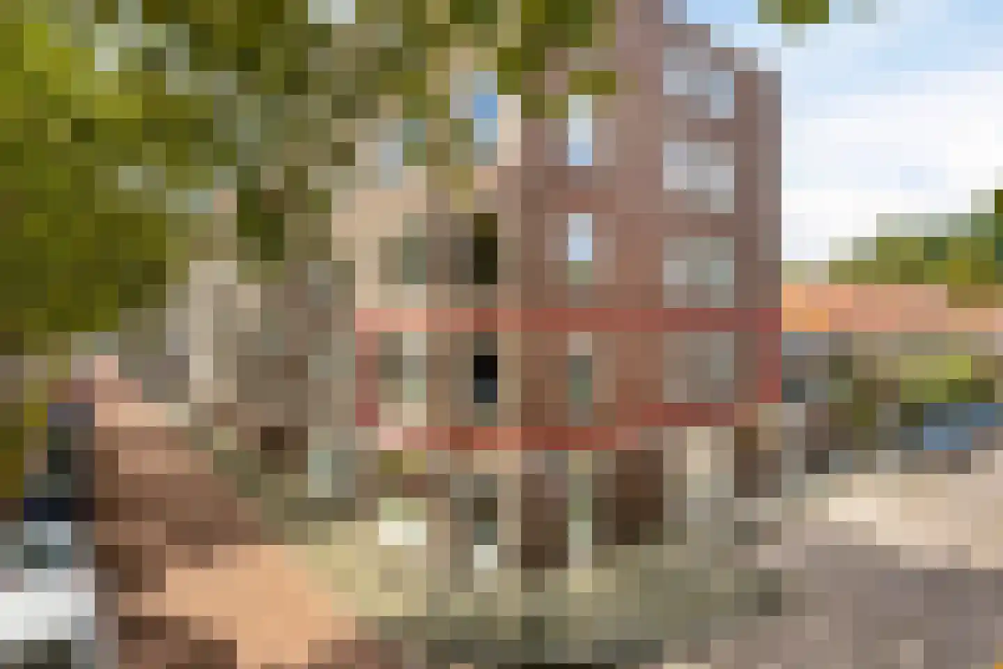 Paulus Potterstraat 4 's-Hertogenbosch