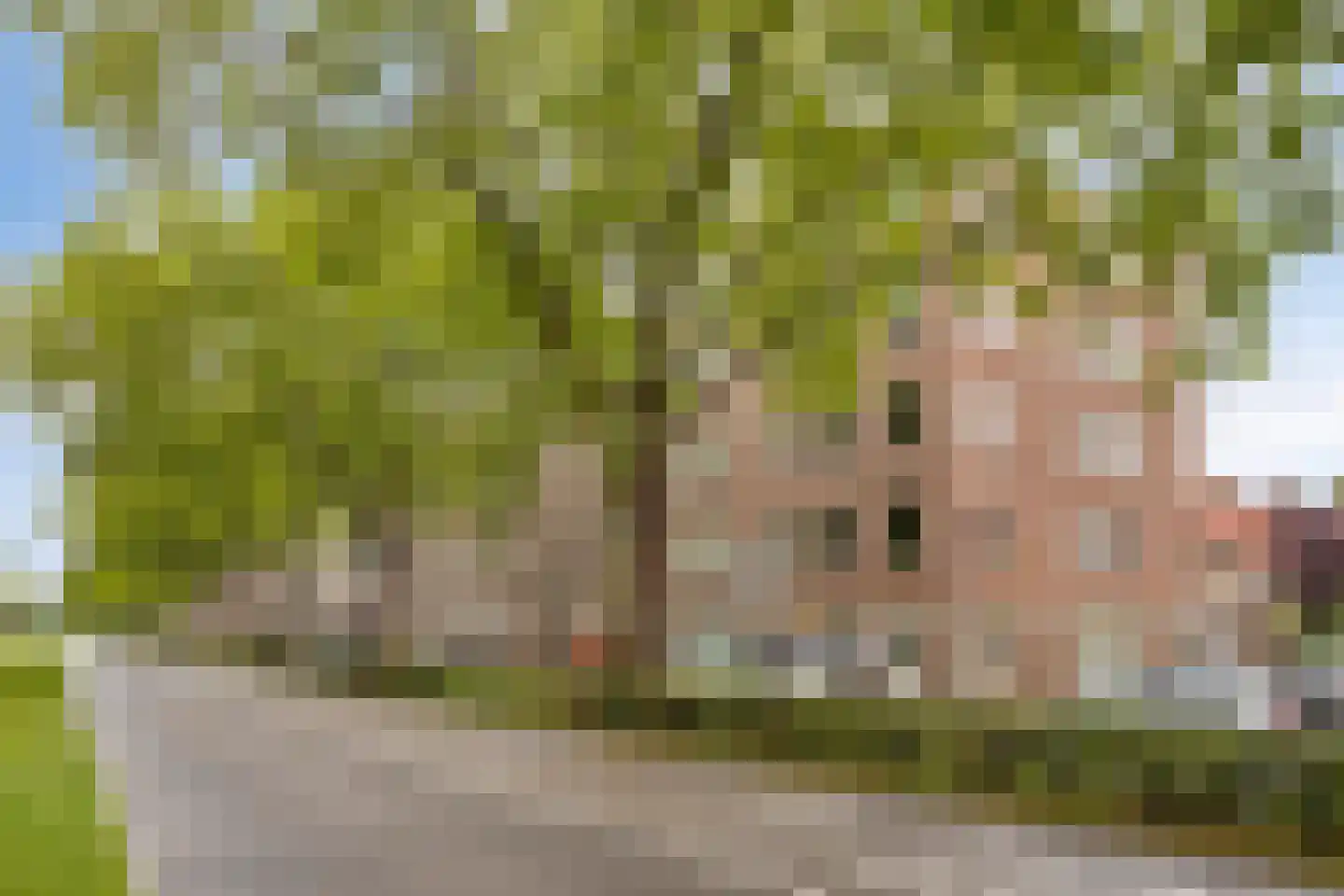 Paulus Potterstraat 4 's-Hertogenbosch thumbnail 16
