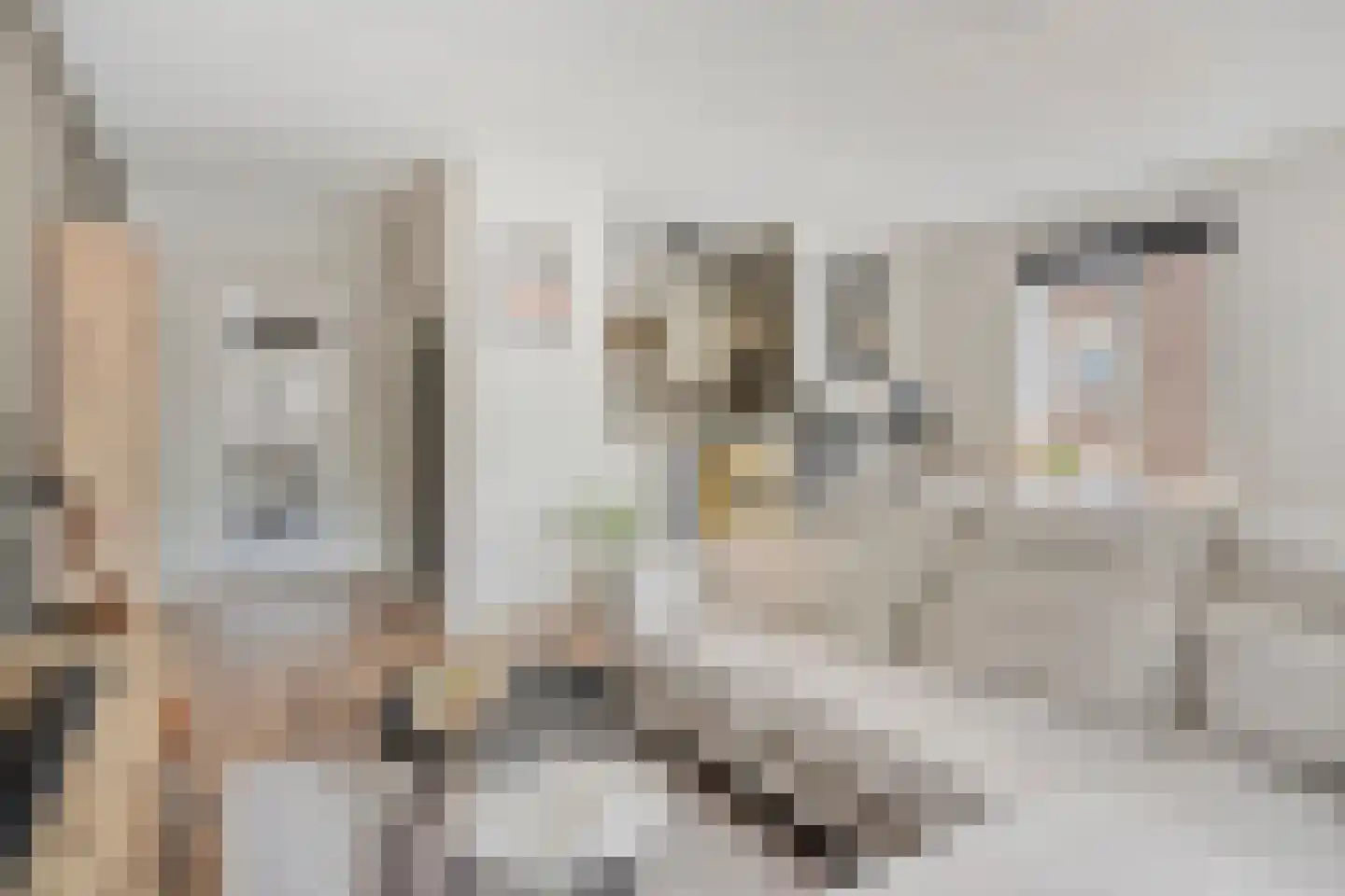Paulus Potterstraat 4 's-Hertogenbosch thumbnail 5