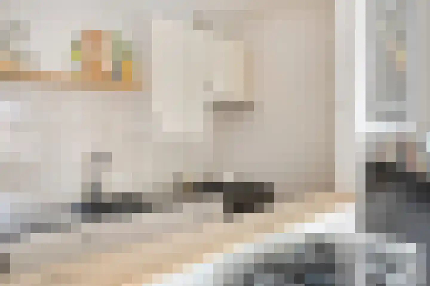 Paulus Potterstraat 4 's-Hertogenbosch thumbnail 7