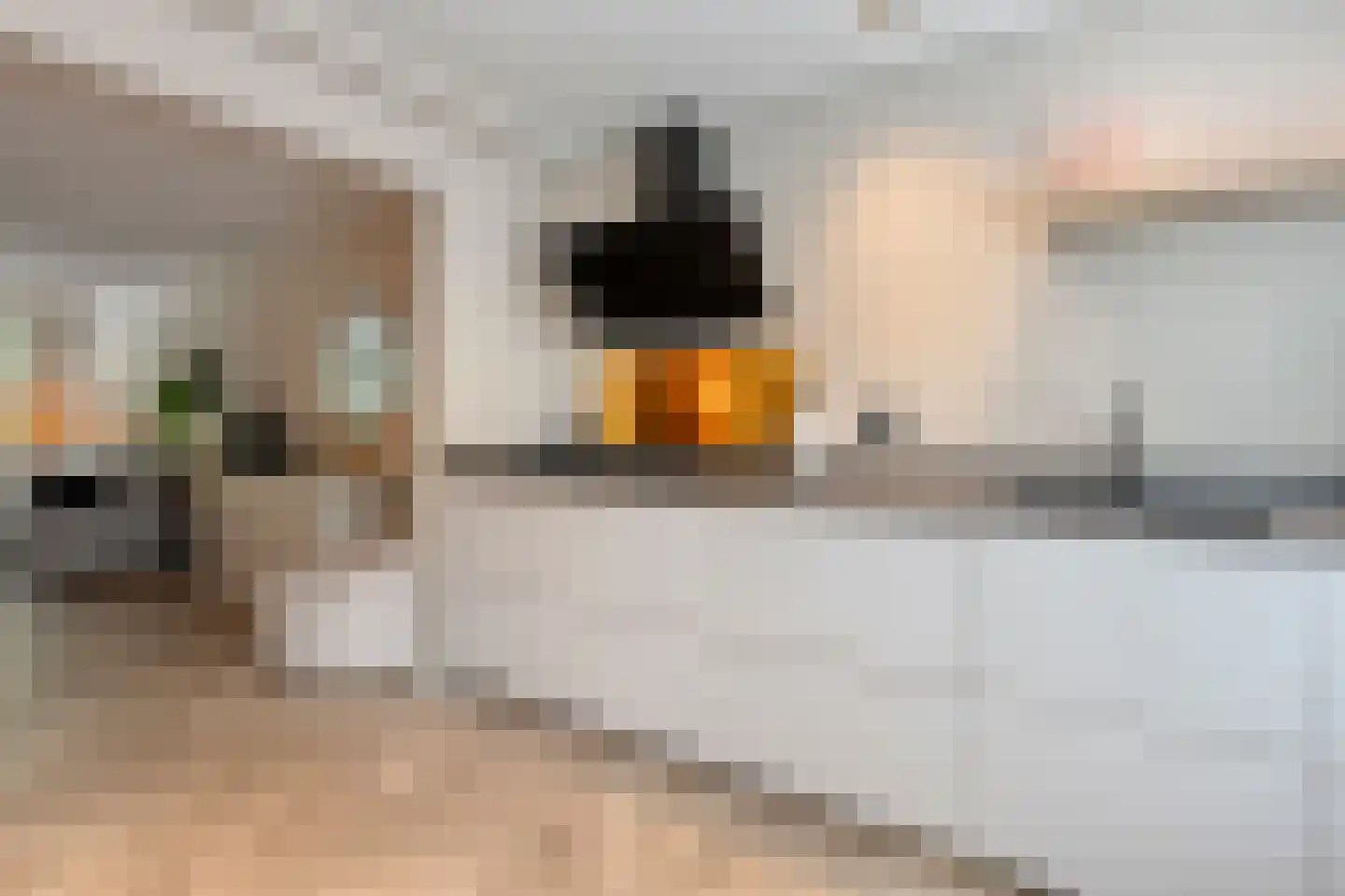 Paulus Potterstraat 42 Nijverdal thumbnail 12