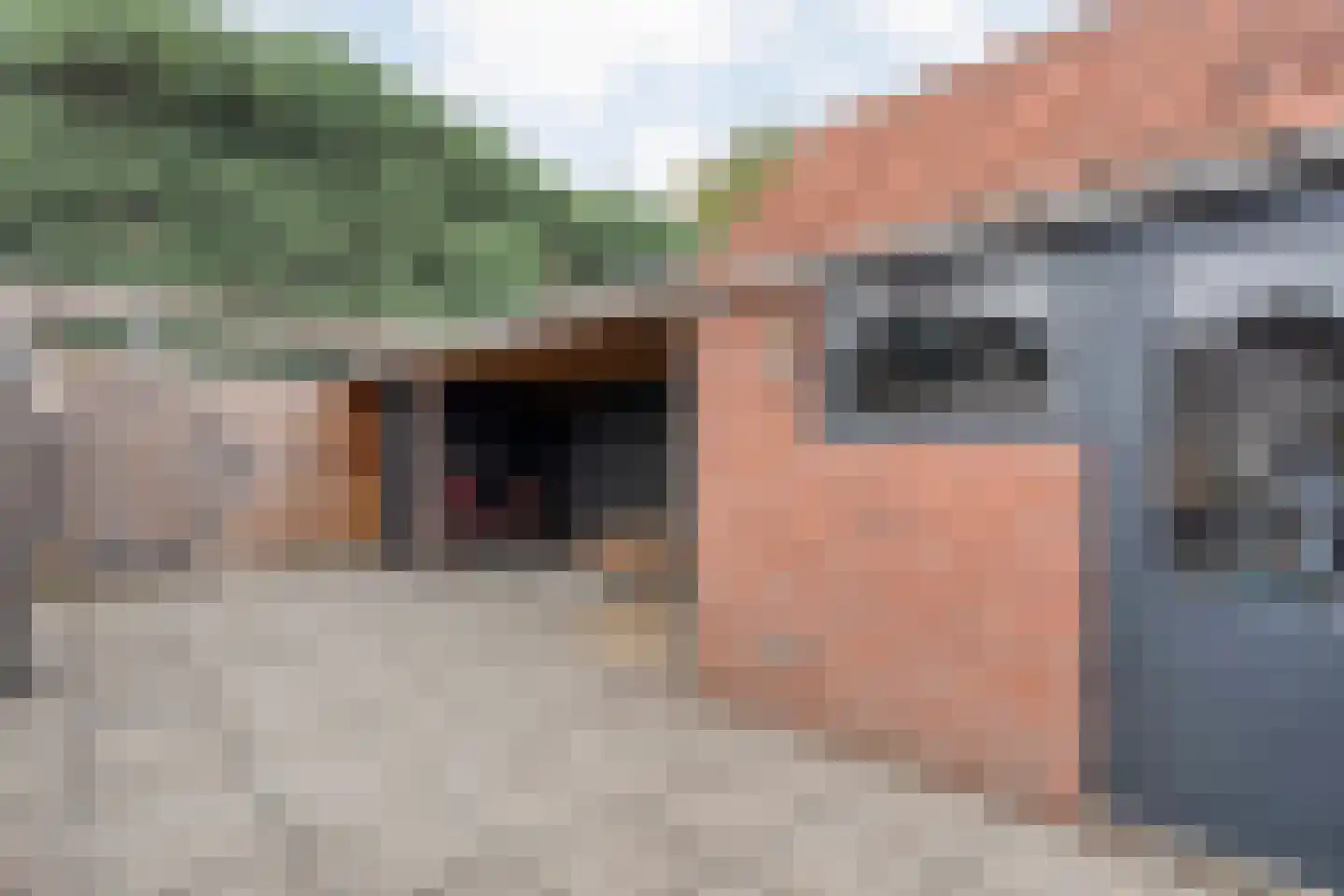 Paulus Potterstraat 42 Nijverdal thumbnail 26