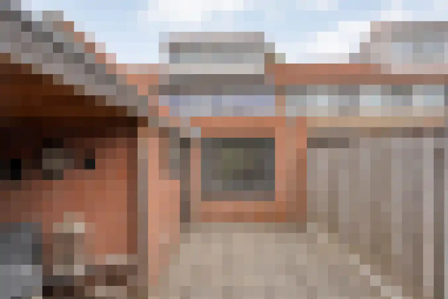 Paulus Potterstraat 42 Nijverdal thumbnail 30