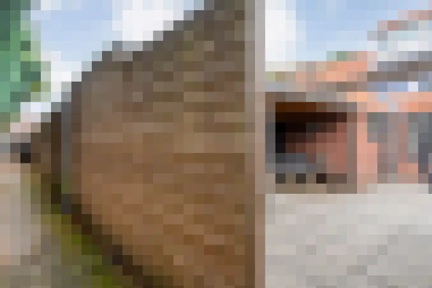 Paulus Potterstraat 42 Nijverdal thumbnail 31