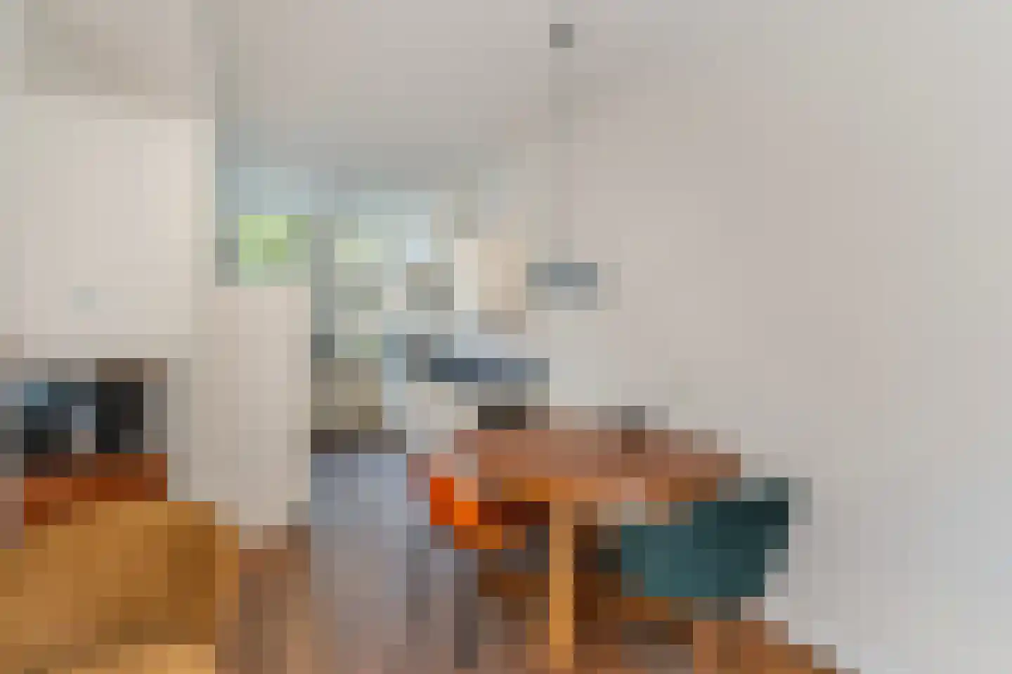 Paulus Potterstraat 44 Rotterdam thumbnail 13