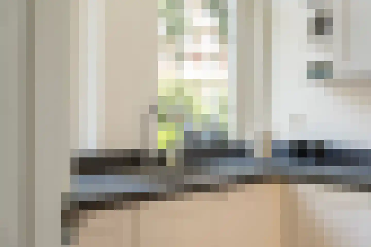 Paulus Potterstraat 44 Rotterdam thumbnail 15