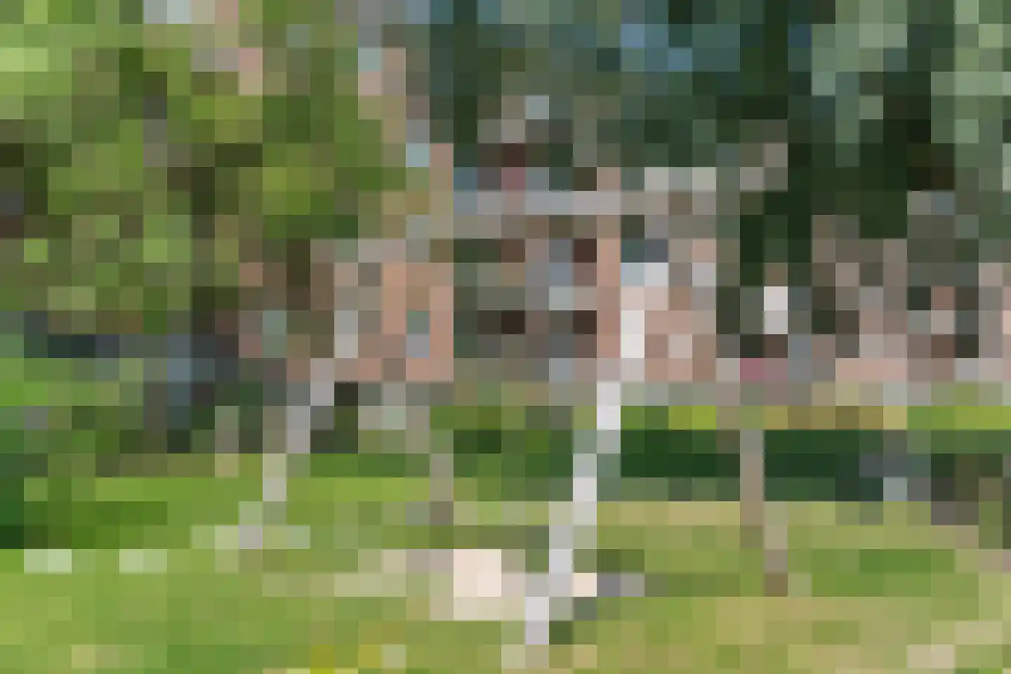 Paulus Potterstraat 44 Rotterdam thumbnail 5