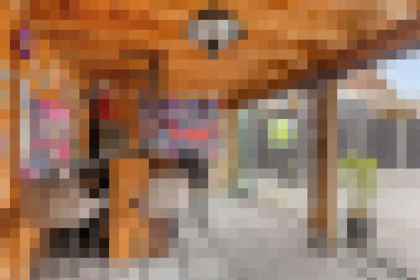 Paulus Potterstraat 45 Wolvega thumbnail 32