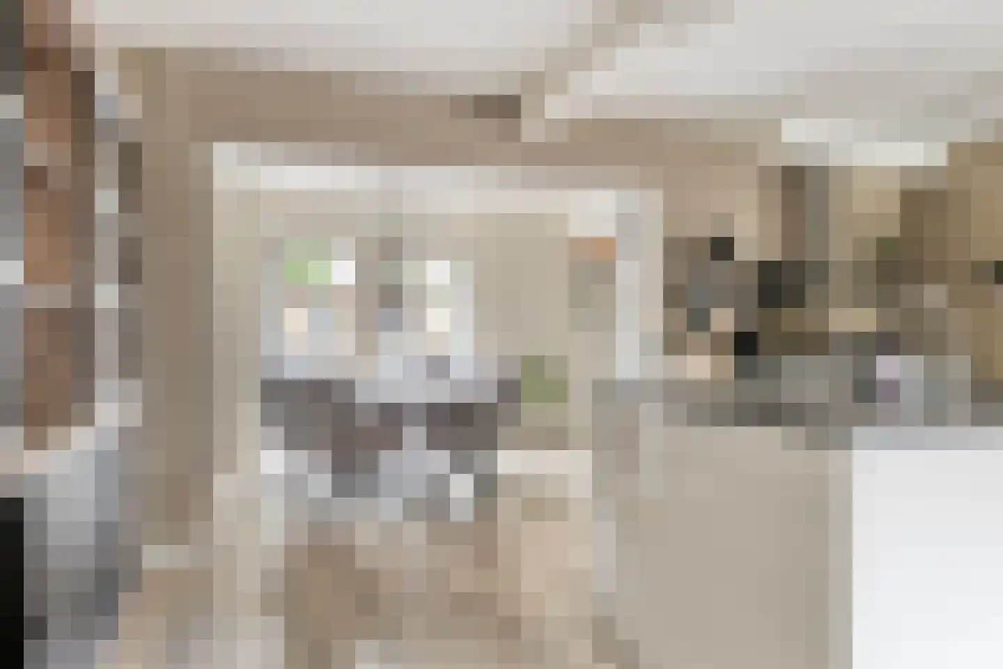 Paulus Potterstraat 45 Wolvega thumbnail 8