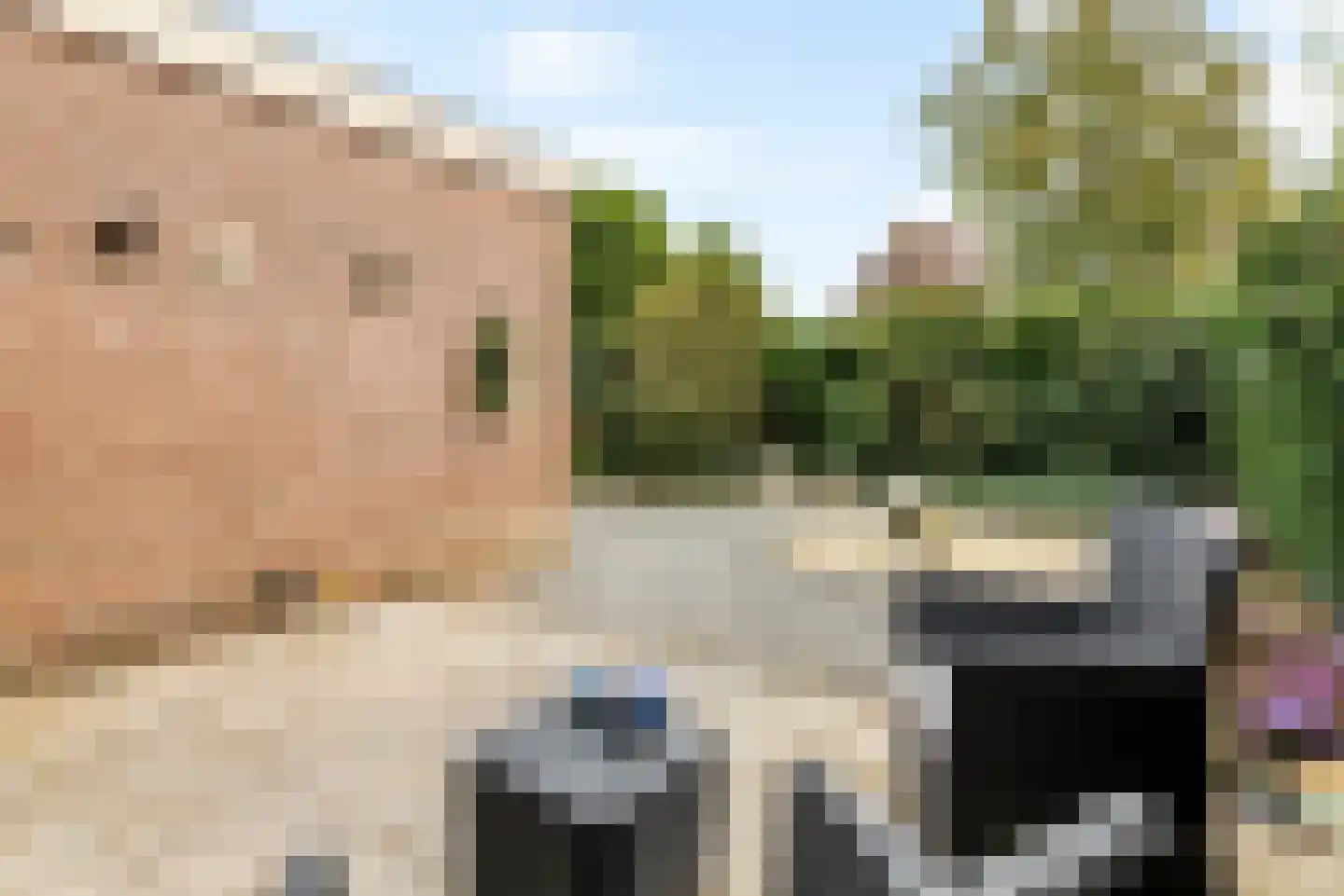 Paulus Potterstraat 46 Tiel thumbnail 34