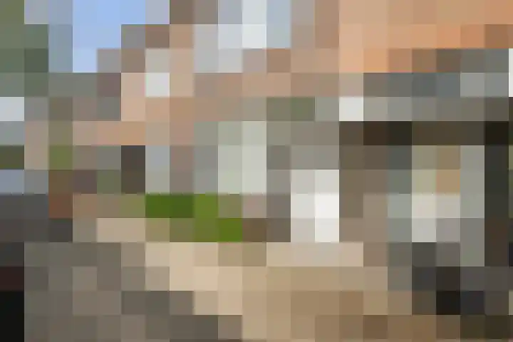 Paulus Potterstraat 47 Schiedam thumbnail 7