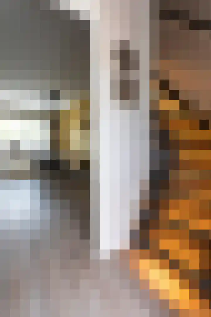 Paulus Potterstraat 49 Haaksbergen thumbnail 18
