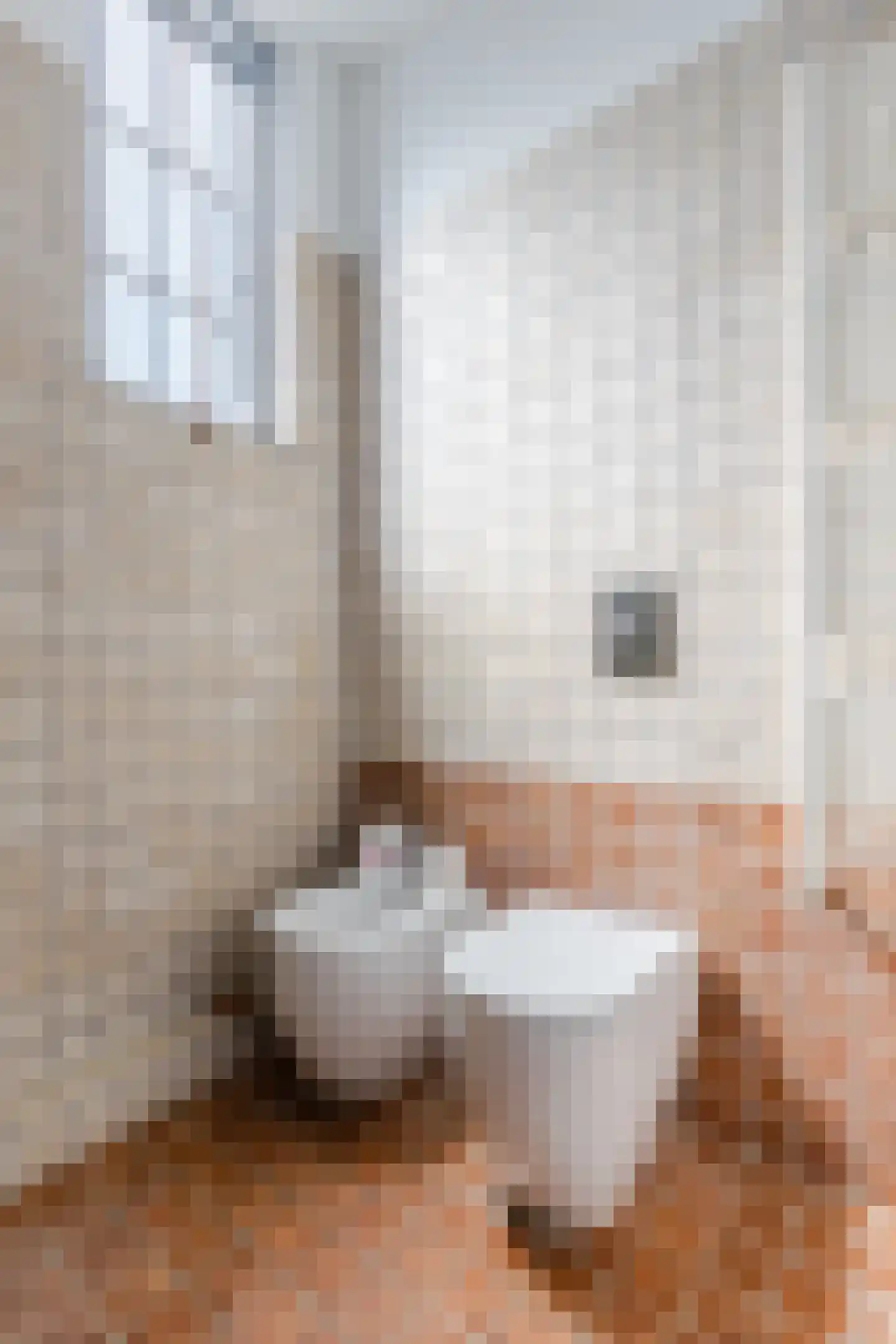 Paulus Potterstraat 5 2 Amsterdam thumbnail 33