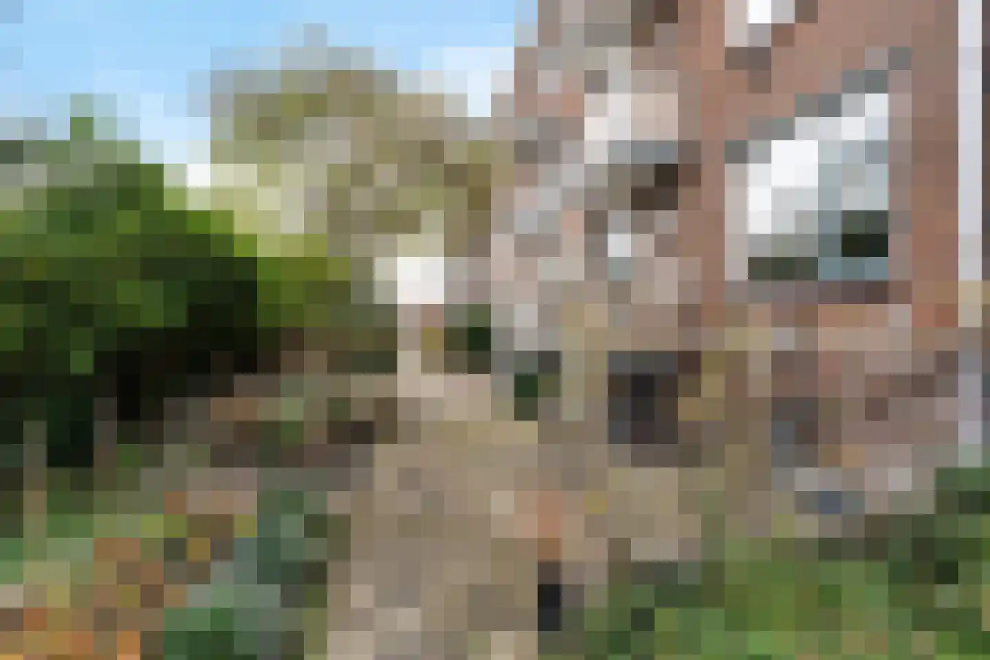 Paulus Potterstraat 5 Alphen aan den Rijn thumbnail 19