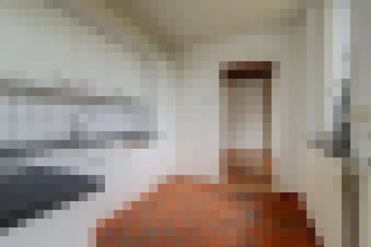 Paulus Potterstraat 55 Zutphen thumbnail 21