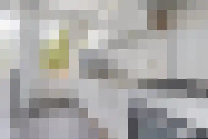 Paulus Potterstraat 56 Groningen thumbnail 19