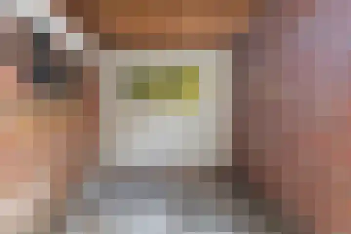Paulus Potterstraat 56 Groningen thumbnail 35