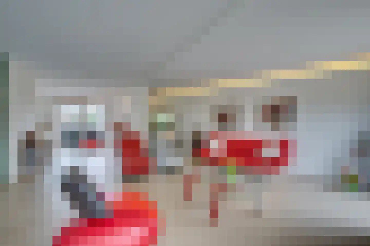 Paulus Potterstraat 6 Baarlo thumbnail 15