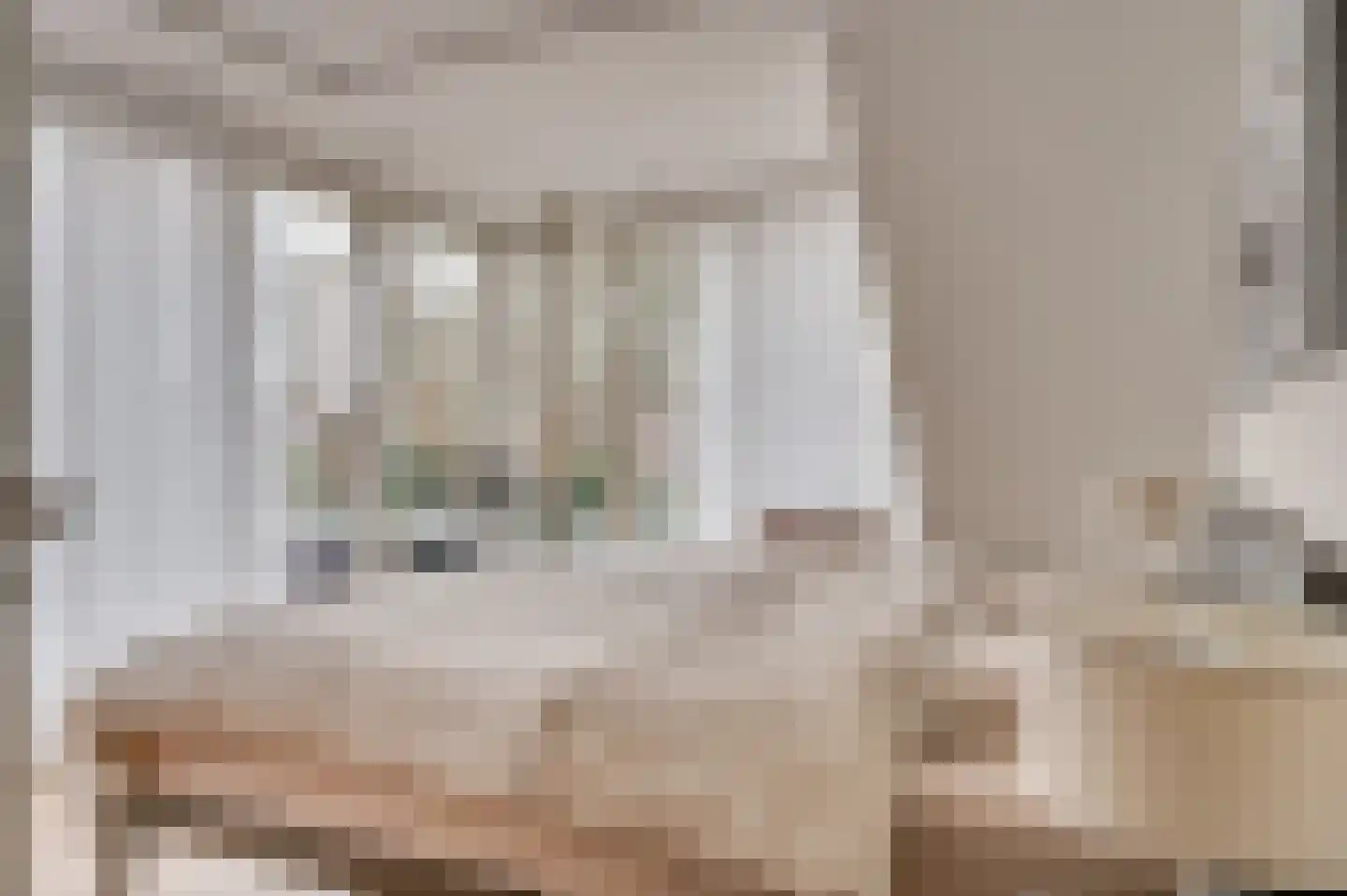 Paulus Potterstraat 6 Baarlo thumbnail 27