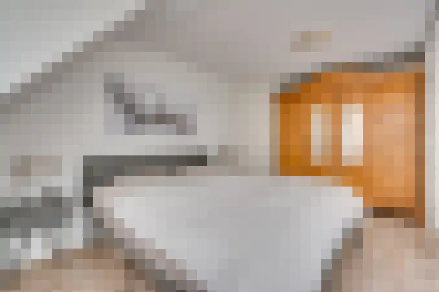 Paulus Potterstraat 6 Baarlo thumbnail 31