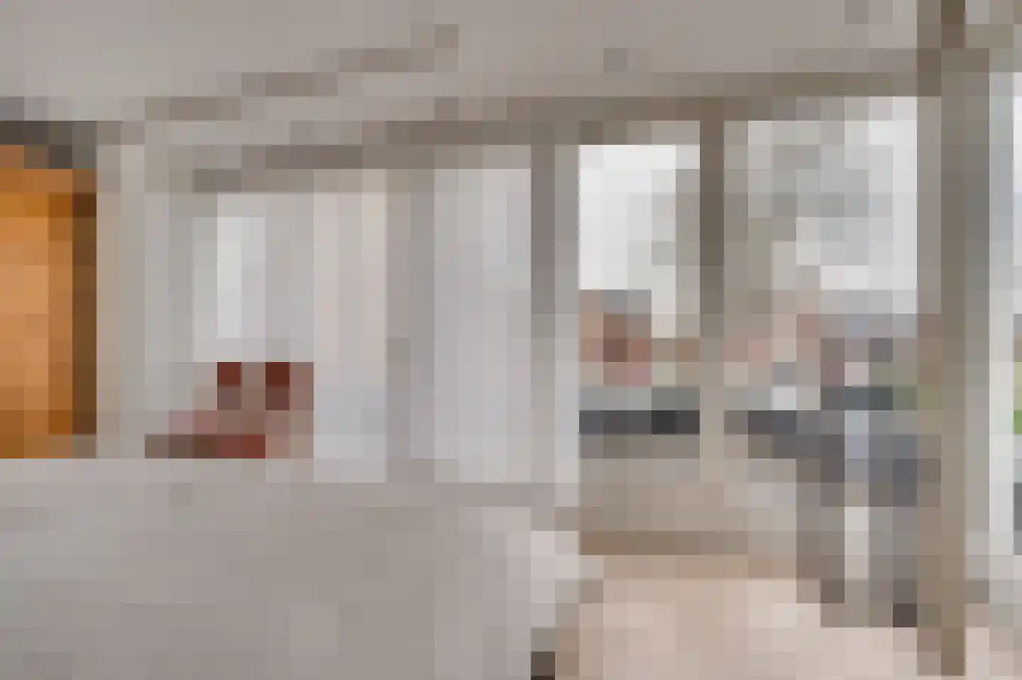 Paulus Potterstraat 6 Baarlo thumbnail 32