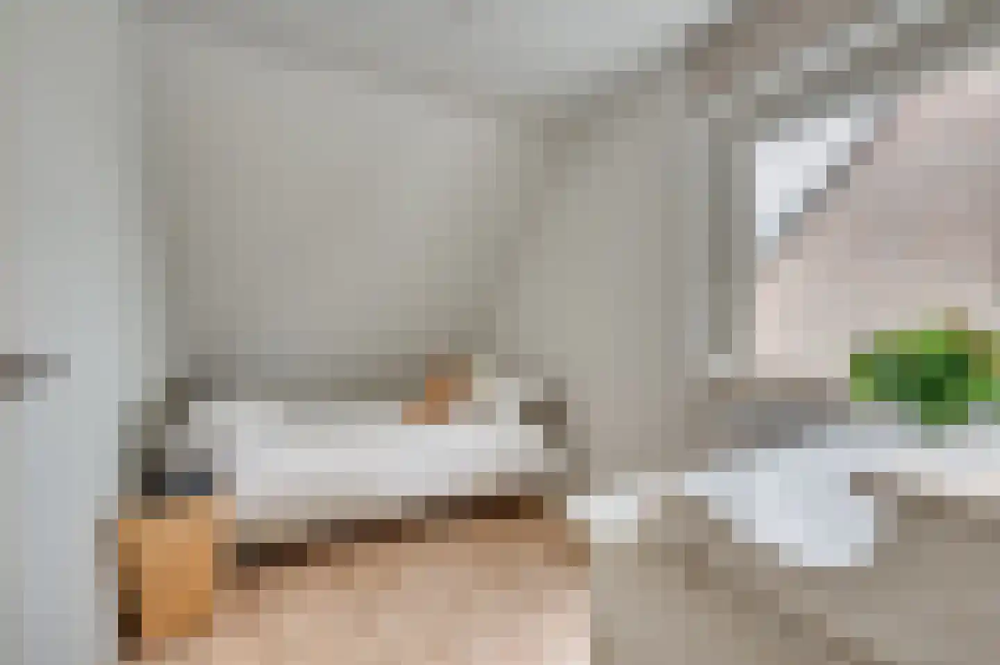 Paulus Potterstraat 6 Baarlo thumbnail 36