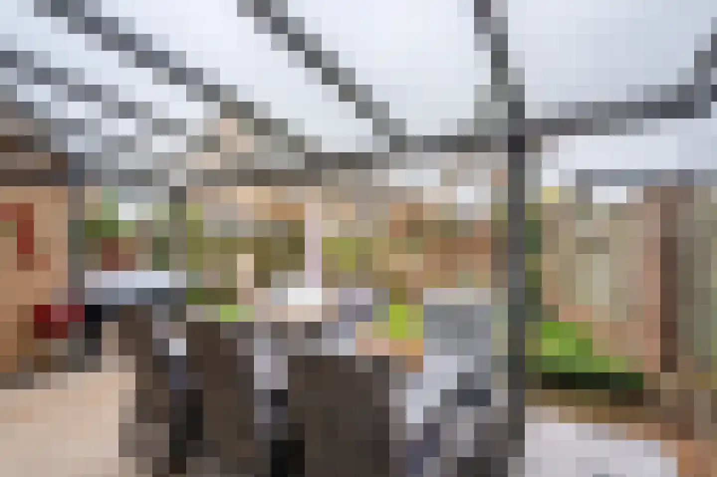 Paulus Potterstraat 6 Baarlo thumbnail 4