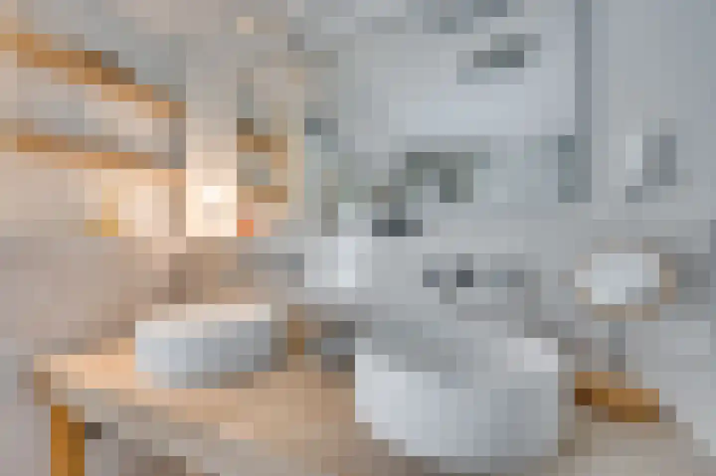 Paulus Potterstraat 6 Baarlo thumbnail 41
