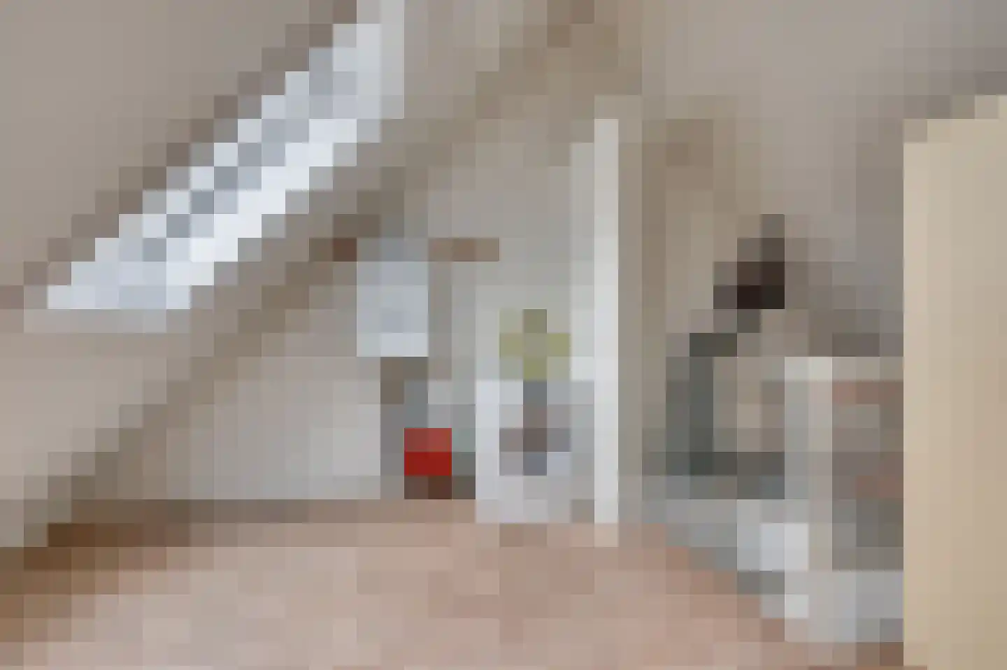 Paulus Potterstraat 6 Baarlo thumbnail 48