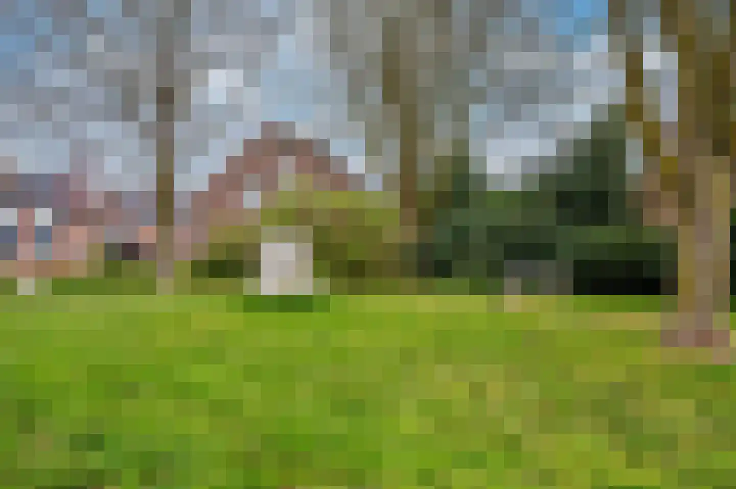 Paulus Potterstraat 6 Baarlo thumbnail 61