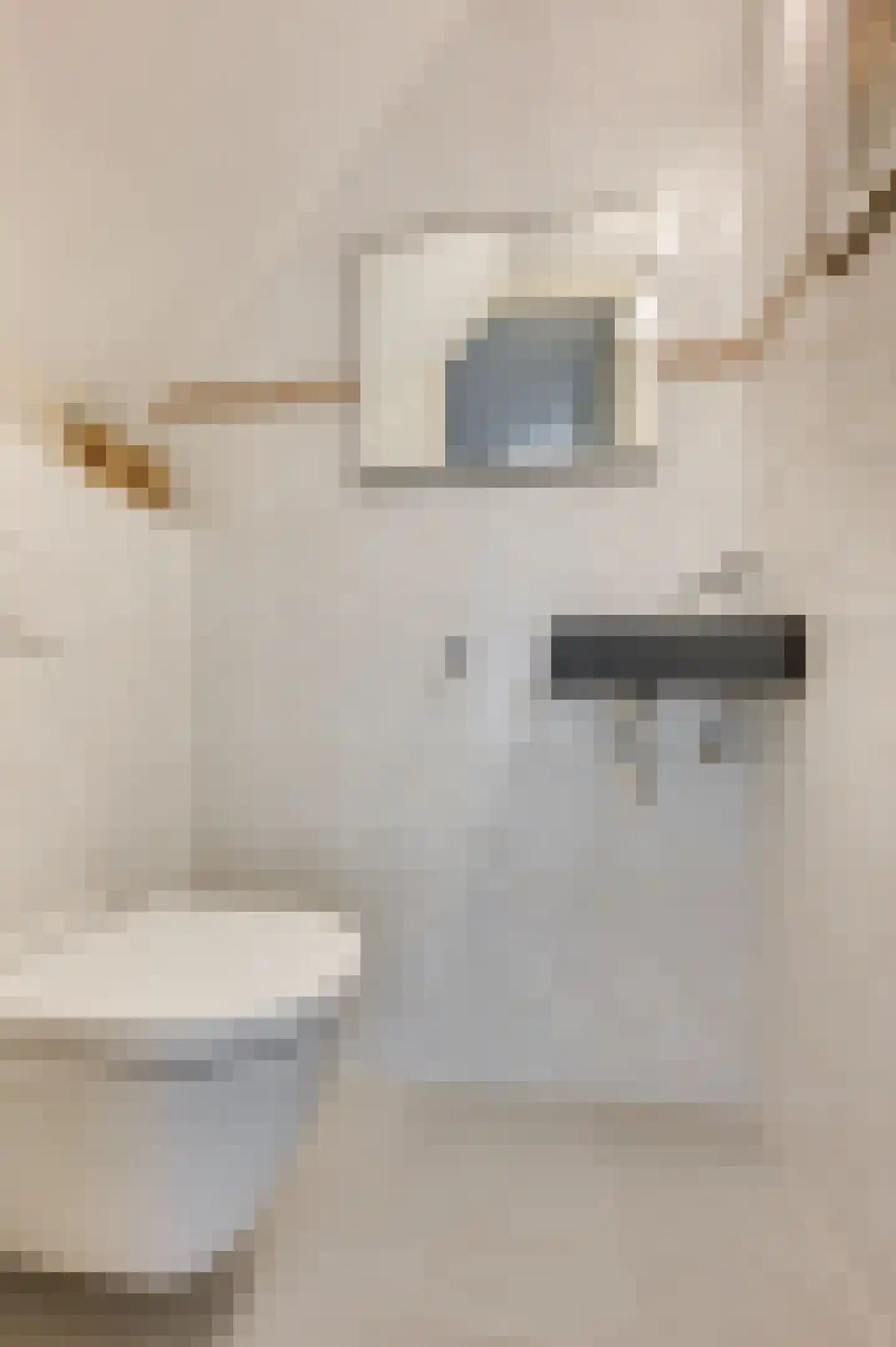 Paulus Potterstraat 6 Baarlo thumbnail 7
