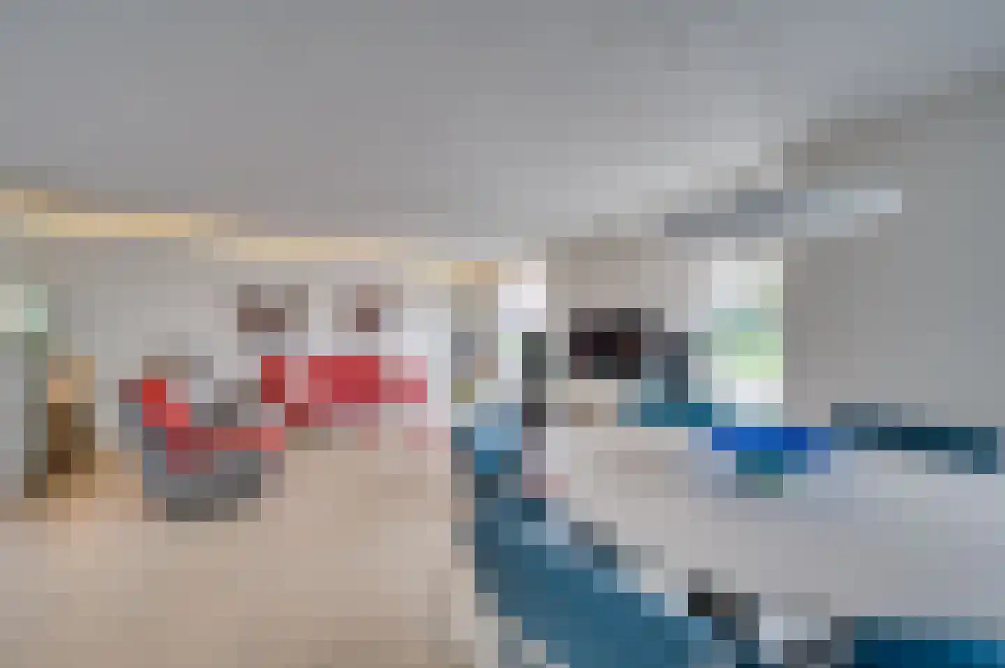 Paulus Potterstraat 6 Baarlo thumbnail 9