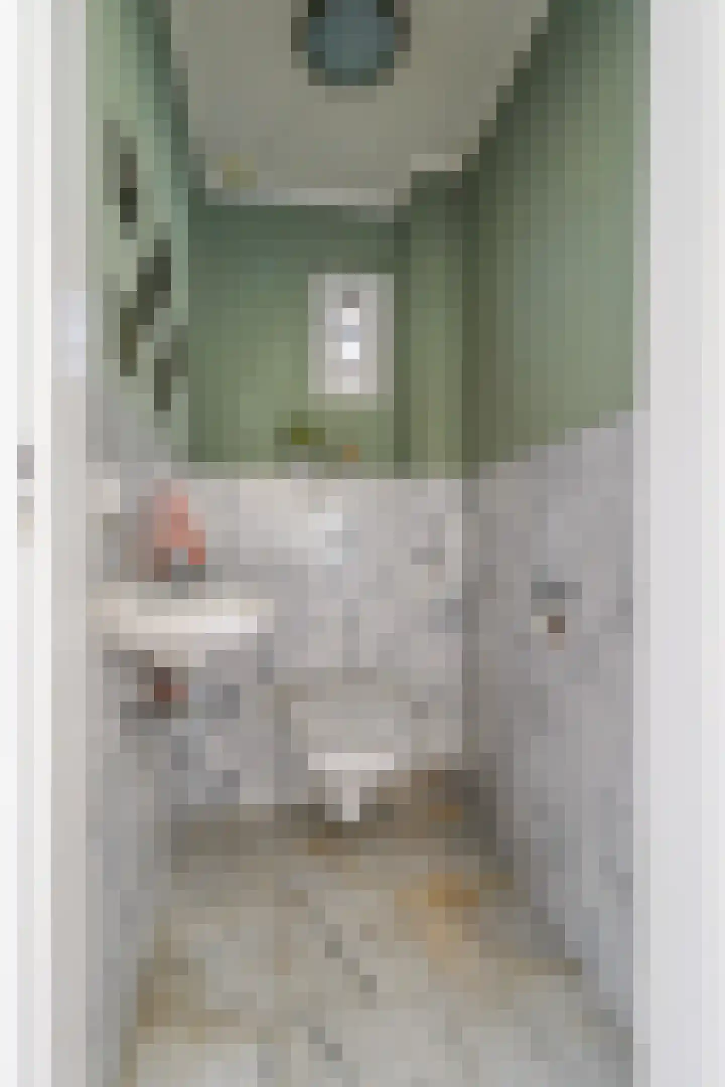Paulus Potterstraat 6 Drunen thumbnail 13