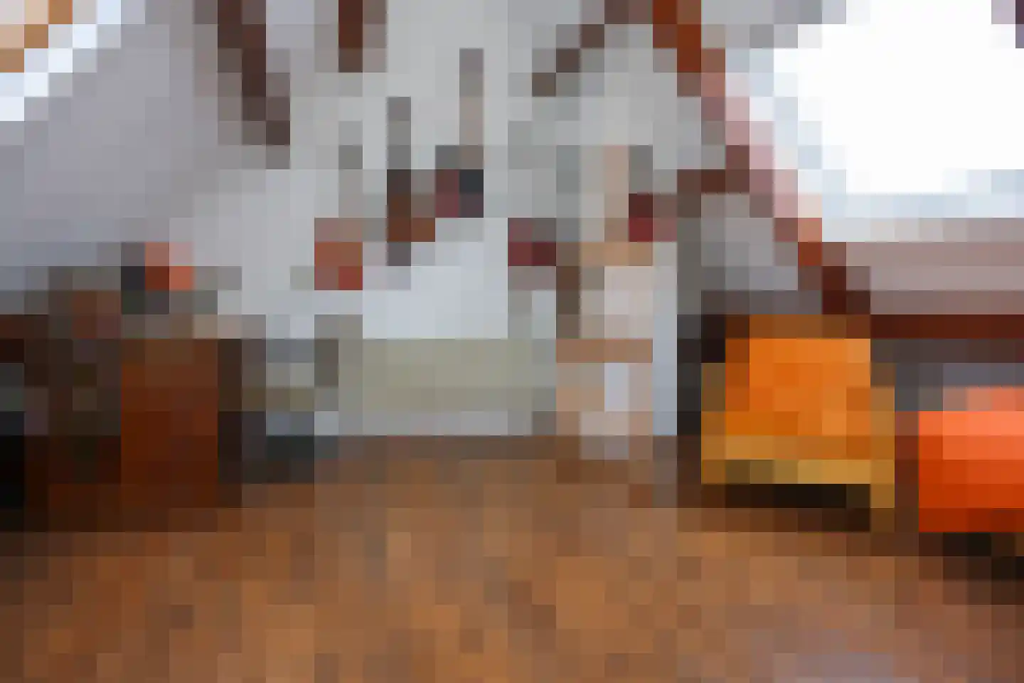Paulus Potterstraat 6 Ede thumbnail 22