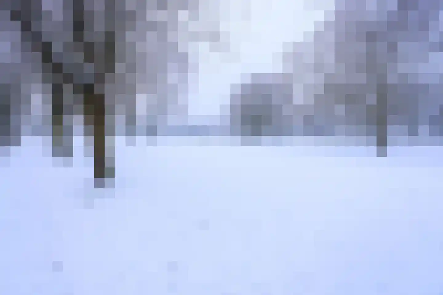 Paulus Potterstraat 6 Ede thumbnail 5