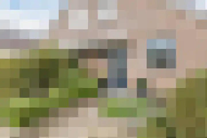 Paulus Potterstraat 6 Tiel thumbnail 5