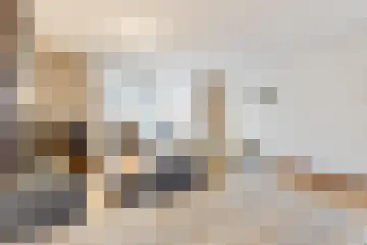 Paulus Potterstraat 6 Tiel thumbnail 7