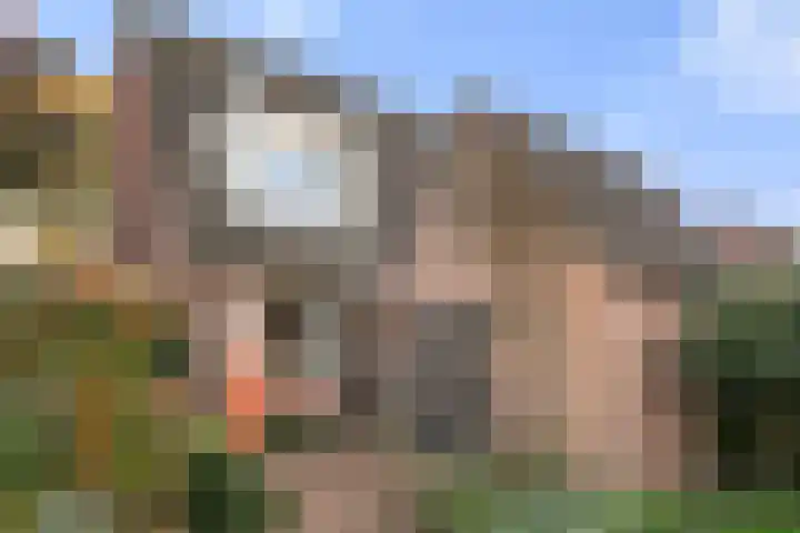 Paulus Potterstraat 61 Ede thumbnail 35