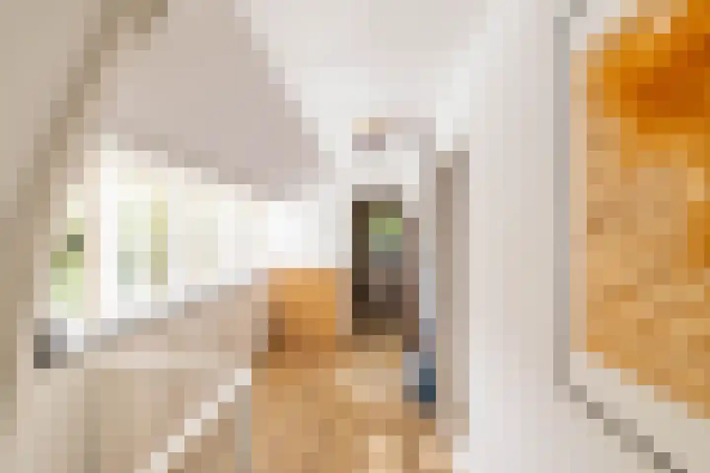 Paulus Potterstraat 64 Leeuwarden thumbnail 24