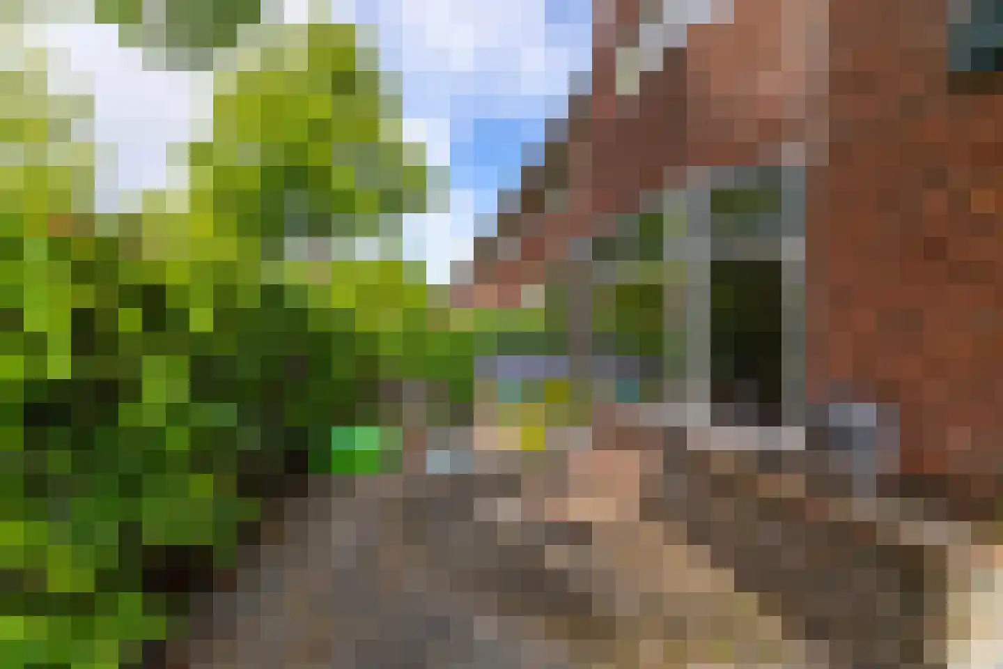 Paulus Potterstraat 64 Leeuwarden thumbnail 4