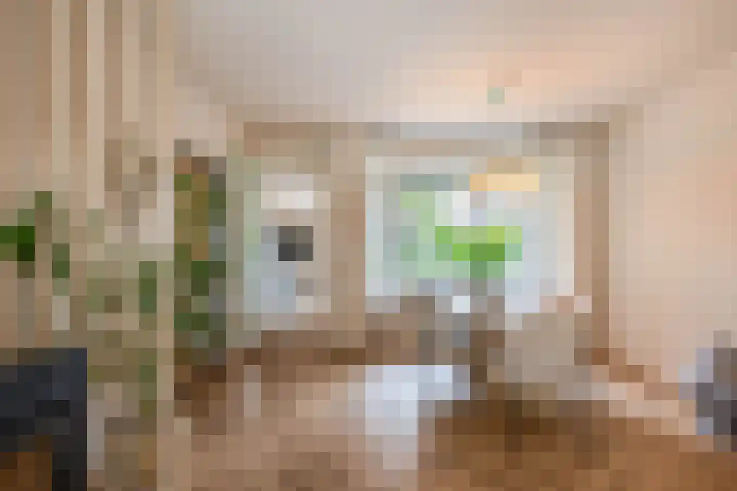 Paulus Potterstraat 66 Waalwijk thumbnail 10