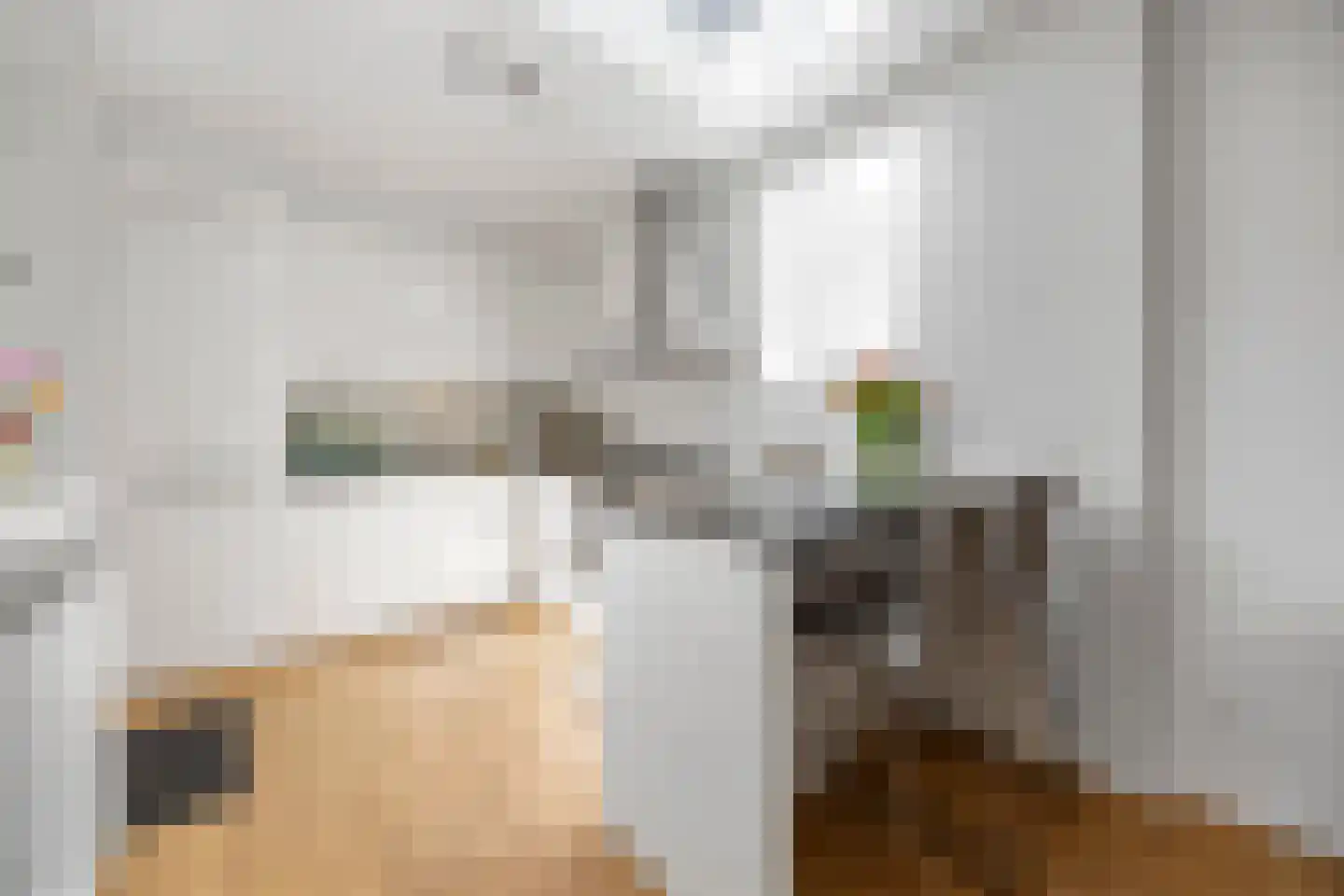 Paulus Potterstraat 68 Voorthuizen thumbnail 14