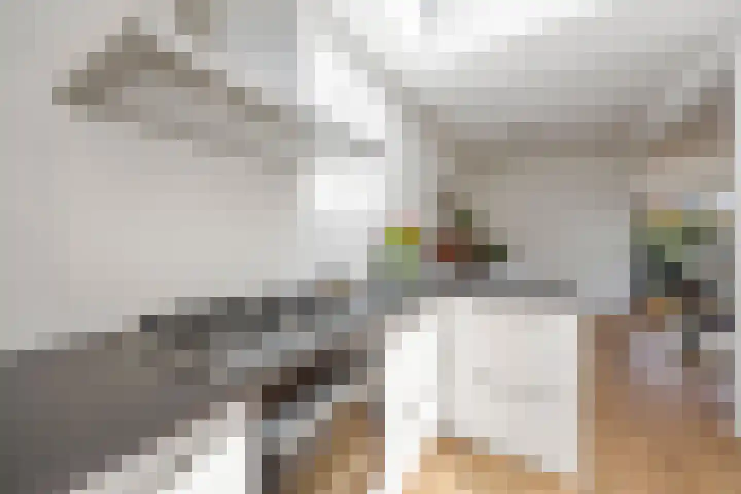 Paulus Potterstraat 68 Voorthuizen thumbnail 15