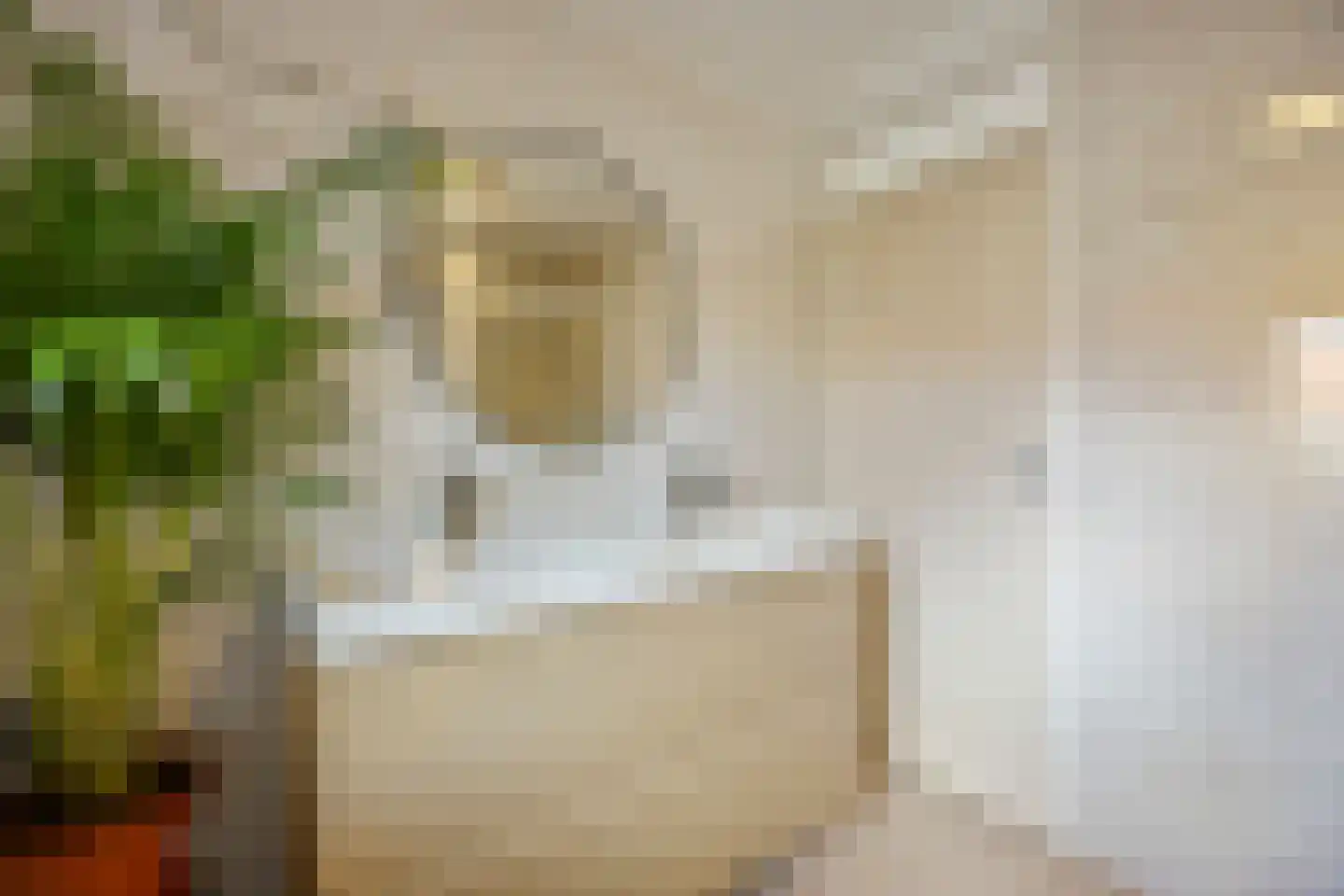 Paulus Potterstraat 68 Voorthuizen thumbnail 24